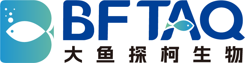 大鱼探柯